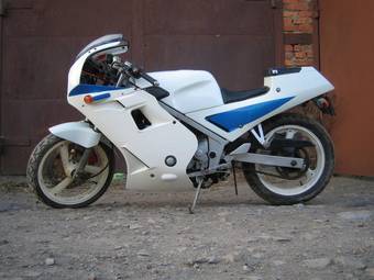 1992 Yamaha FZR Pics