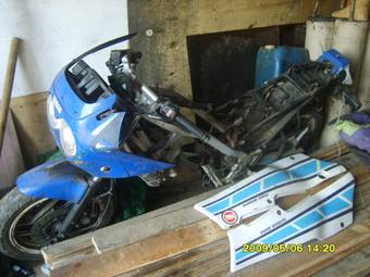 1990 Yamaha FZR400 Pictures