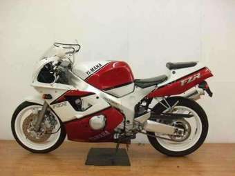 1994 Yamaha FZR400RR Pictures