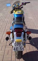 1993 Yamaha FZX Pictures