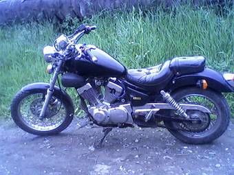 1995 Yamaha Virago Pictures