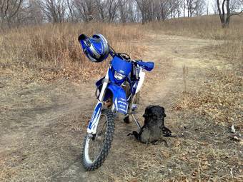 2007 Yamaha WR Pictures