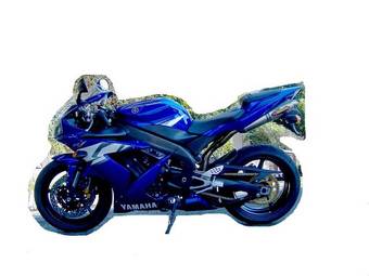 2004 Yamaha YZF Images