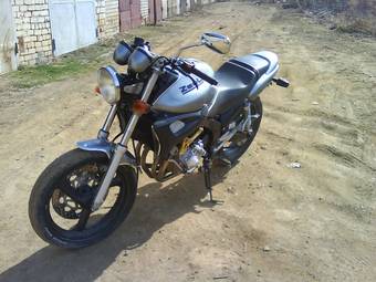 1995 Yamaha ZEAL For Sale