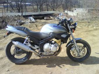 1995 Yamaha ZEAL For Sale