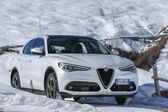 Alfa Romeo Stelvio Quadrifoglio 2.9 Bi-Turbo V6 (510 Hp) AWD Automatic 2017 - 2018