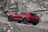 Aston Martin DBX 4.0 V8 (550 Hp) 4x4 Automtic 2020 - present