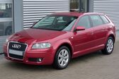 Audi A3 Sportback (8PA) 2.0 TFSI (200 Hp) quattro 2004 - 2008