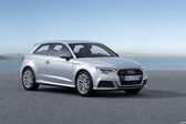 Audi A3 (8V facelift 2016) 2.0 TDI (150 Hp) quattro 2016 - 2017