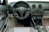 Audi A3 (8P) 2.0 TDI (170 Hp) quattro 2006 - 2008