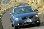 Audi A3 (8P) 3.2i V6 24V (250 Hp) quattro DSG 2004 - 2005