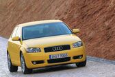 Audi A3 (8P) 2003 - 2008