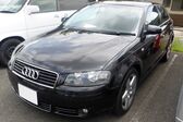 Audi A3 (8P) 1.9 TDI (105 Hp) 2005 - 2008