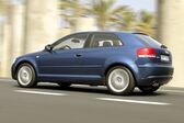 Audi A3 (8P) 1.9 TDI (105 Hp) 2005 - 2008