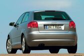 Audi A3 (8P) 2.0 TDI (140 Hp) DSG 2005 - 2008