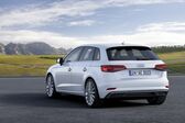 Audi A3 Sportback (8V facelift 2016) 2.0 TDI (184 Hp) quattro S-tronic 2016 - 2018