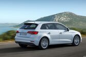 Audi A3 Sportback (8V facelift 2016) 2.0 TFSI (190 Hp) S tronic 2016 - 2018