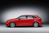 Audi A3 Sportback (8V facelift 2016) 1.6 TDI (110 Hp) 2016 - 2017