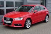 Audi A3 (8V) 1.6 TDI (110 Hp) clean diesel 2014 - 2016