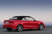 Audi A3 Cabrio (8V) 2013 - 2016