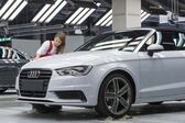 Audi A3 Cabrio (8V) 1.6 TDI (110 Hp) clean diesel 2014 - 2016