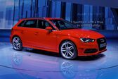 Audi A3 Sportback (8V) 2.0 TDI (150 Hp) clean diesel 2013 - 2016