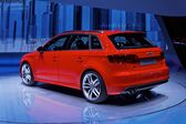 Audi A3 Sportback (8V) 2.0 TDI (184 Hp) clean diesel 2014 - 2016