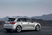 Audi A3 Sportback (8V) 2.0 TDI (150 Hp) 2013 - 2014