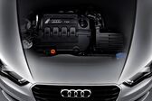 Audi A3 Sportback (8V) 1.6 TDI (110 Hp) clean diesel S-tronic 2014 - 2016