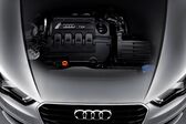 Audi A3 Sportback (8V) 1.6 TDI (110 Hp) clean diesel 2014 - 2016