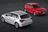 Audi A3 Sportback (8V) 2.0 TDI (150 Hp) clean diesel quattro 2013 - 2014