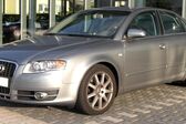 Audi A4 (B7 8E) 2.5 TDI V6 (163 Hp) Multitronic 2004 - 2007