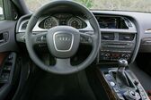 Audi A4 (B8 8K) 1.8 TFSI (160 Hp) 2007 - 2011