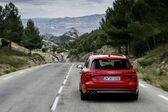 Audi A4 Avant (B9 8W) 2.0 TFSI (170 Hp) g-tron 2017 - 2018