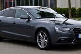 Audi A5 Sportback (8TA, facelift 2011) 2.0 TDI (143 Hp) 2011 - 2013