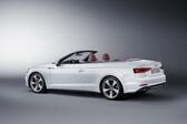 Audi A5 Cabriolet (F5) 2.0 TDI (150 Hp) 2017 - 2018