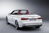 Audi A5 Cabriolet (F5) 40 TDI (190 Hp) quattro S tronic 2018 - 2019