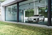 Audi A6 e-tron concept 2021 - present