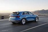 Audi E-tron 95 kWh (408 Hp) Quattro 2018 - present