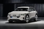 Audi E-tron 95 kWh (408 Hp) Quattro 2018 - present