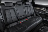 Audi E-tron 95 kWh (408 Hp) Quattro 2018 - present