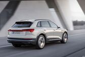 Audi E-tron 95 kWh (408 Hp) Quattro 2018 - present