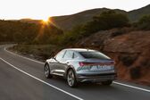 Audi E-tron Sportback 50 71 kWh (313 Hp) quattro 2020 - present