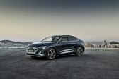 Audi E-tron Sportback 55 95 kWh (408 Hp) quattro 2020 - present