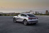 Audi E-tron Sportback 50 71 kWh (313 Hp) quattro 2020 - present