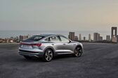 Audi E-tron Sportback 55 95 kWh (408 Hp) quattro 2020 - present