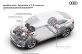 Audi E-tron Sportback 50 71 kWh (313 Hp) quattro 2020 - present