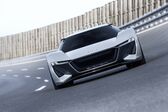 Audi PB18 concept E-tron 95 kWh (775 Hp) 2018 - present