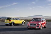 Audi Q2 30 TFSI (116 Hp) S tronic 2018 - 2020