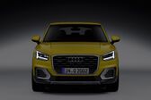 Audi Q2 1.0 TFSI (116 Hp) S tronic 2016 - 2018